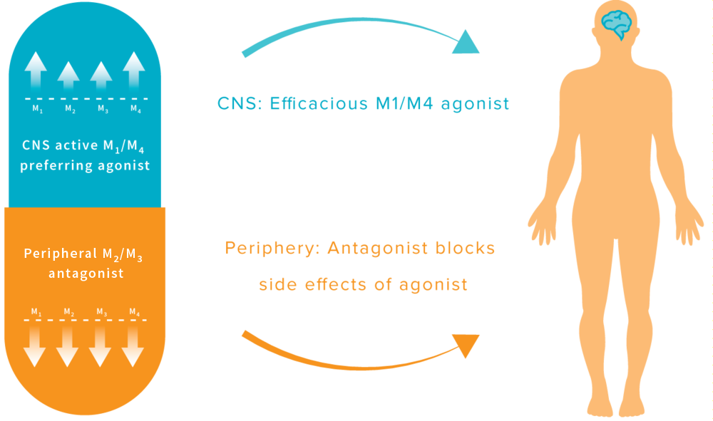 Image result for Xanomeline